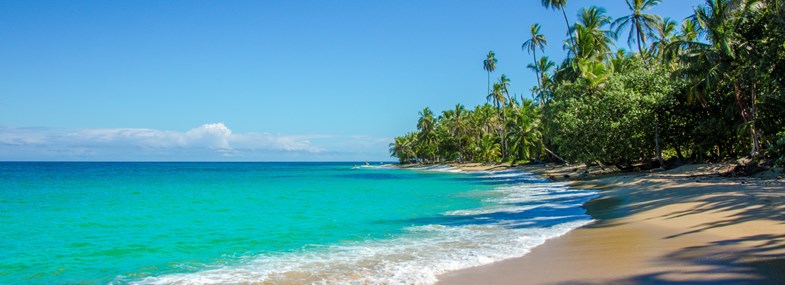 Voyage Costa Rica - Jour 12 : Arrivée en France