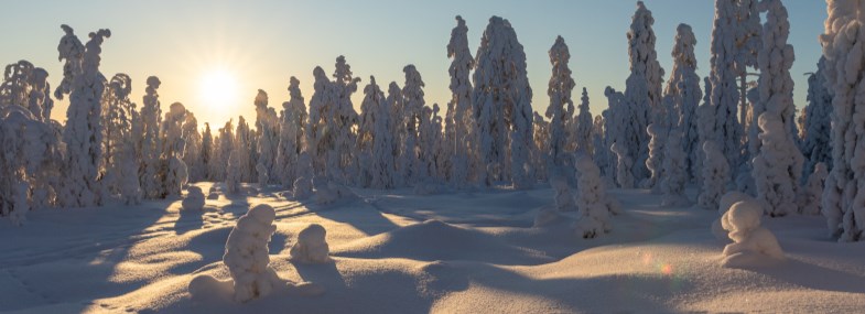 Circuit Laponie - Jour 1  : Vol pour Rovaniemi - Arrivée en Laponie
