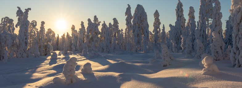 Circuit Laponie - Jour 6 : Journée libre à Rovaniemi