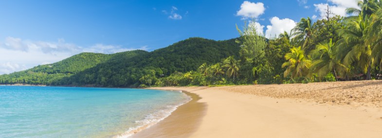 Circuit Martinique - Guadeloupe - Saint Martin - Jour 8 : Grande terre