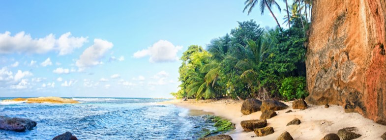 Circuit Dominique - Guadeloupe - Jour 1 : Vol pour la Guadeloupe