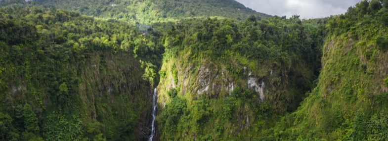 Circuit Dominique - Guadeloupe - Jour 4 : Le Parc National de Morne Trois Pitons