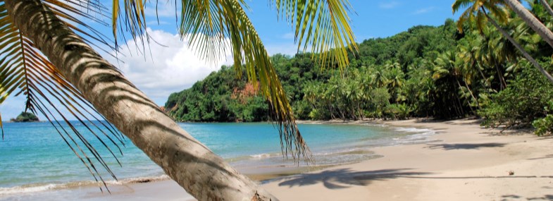 Circuit Dominique - Guadeloupe - Jour 5 : Journée libre