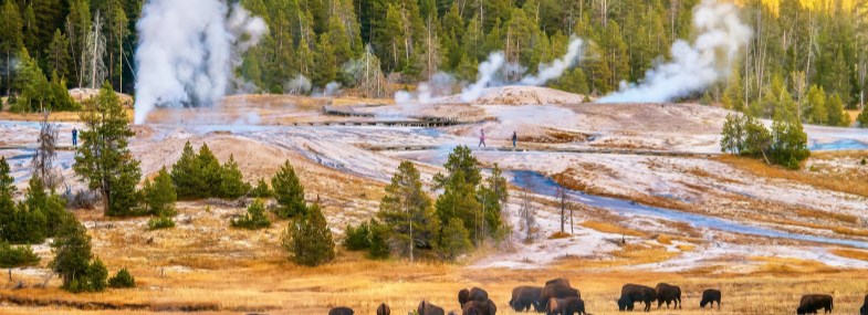 Circuit Etats-Unis - Jour 9 : Billings - Yellowstone - Jackson