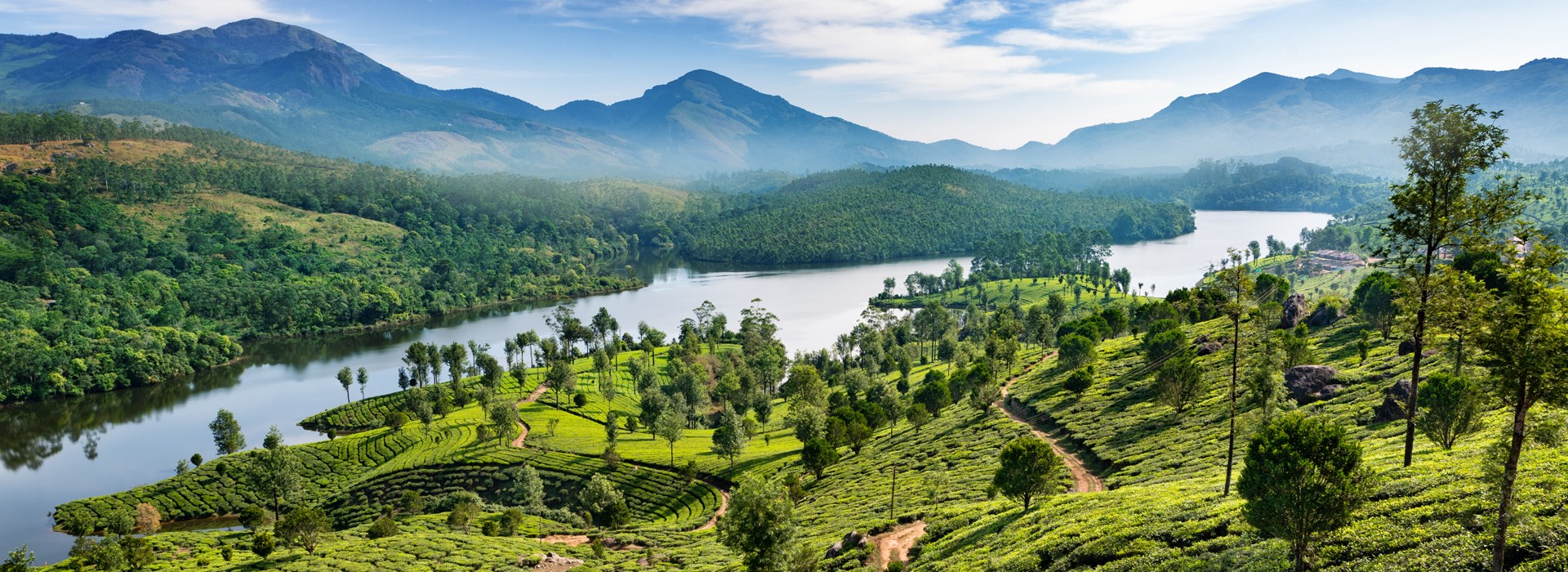 voyage célibataire inde sud munnar