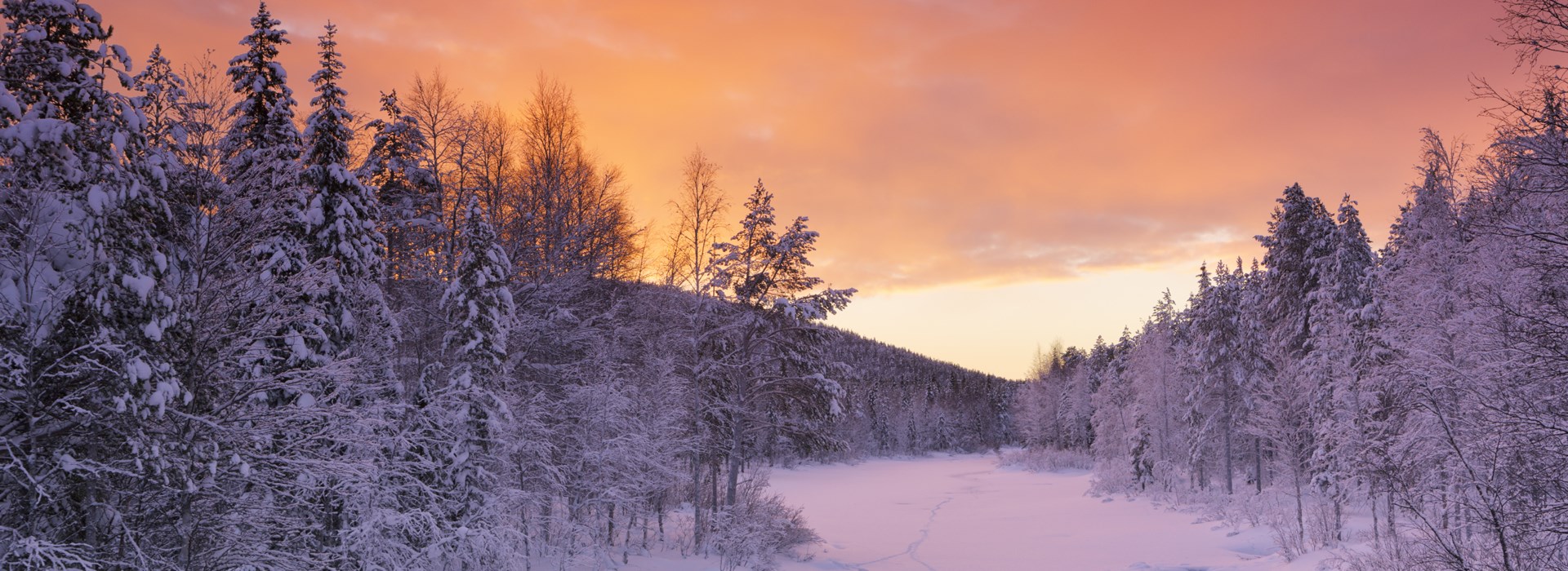 découverte laponie neige hiver nord solo