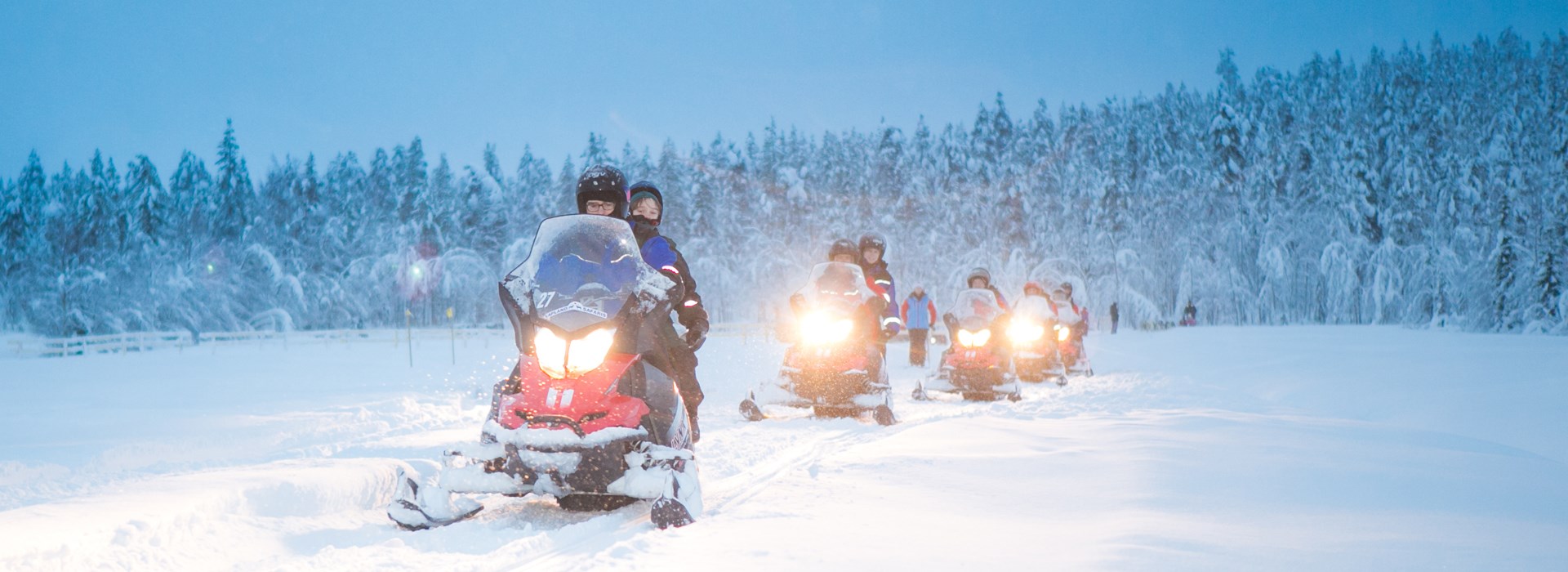 Circuit Canada en Famille - Au pays des caribous