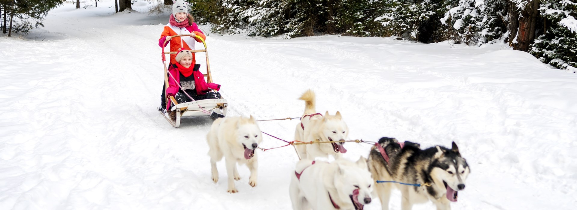 Circuit Canada en Famille - Au pays des caribous