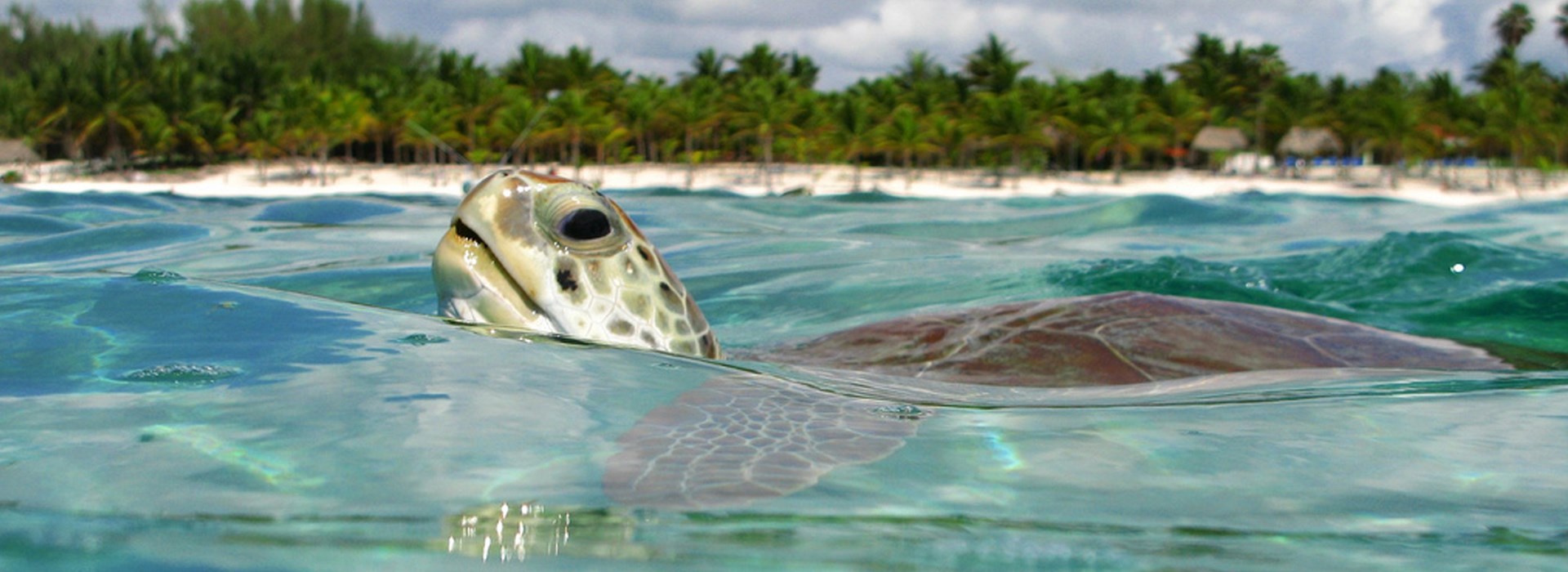 akumal vacances mexique famille