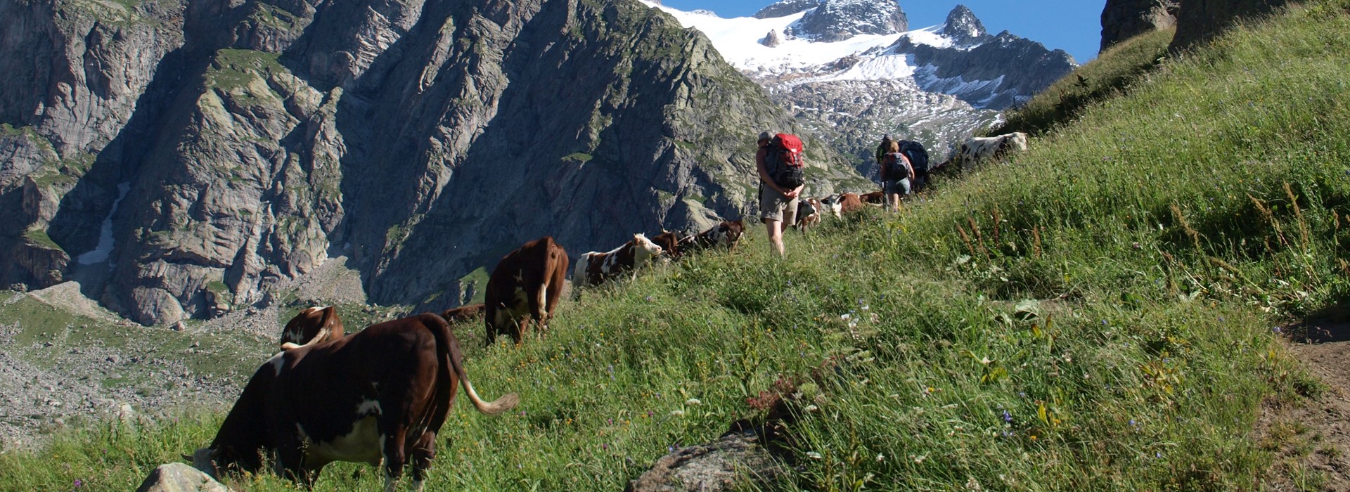 partir seul trek mont blanc solo