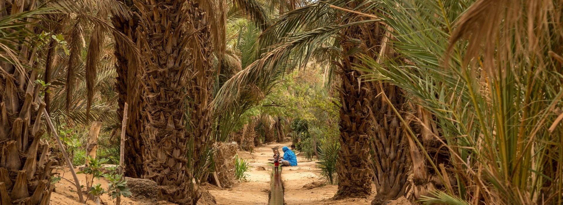 oasis mauritanie