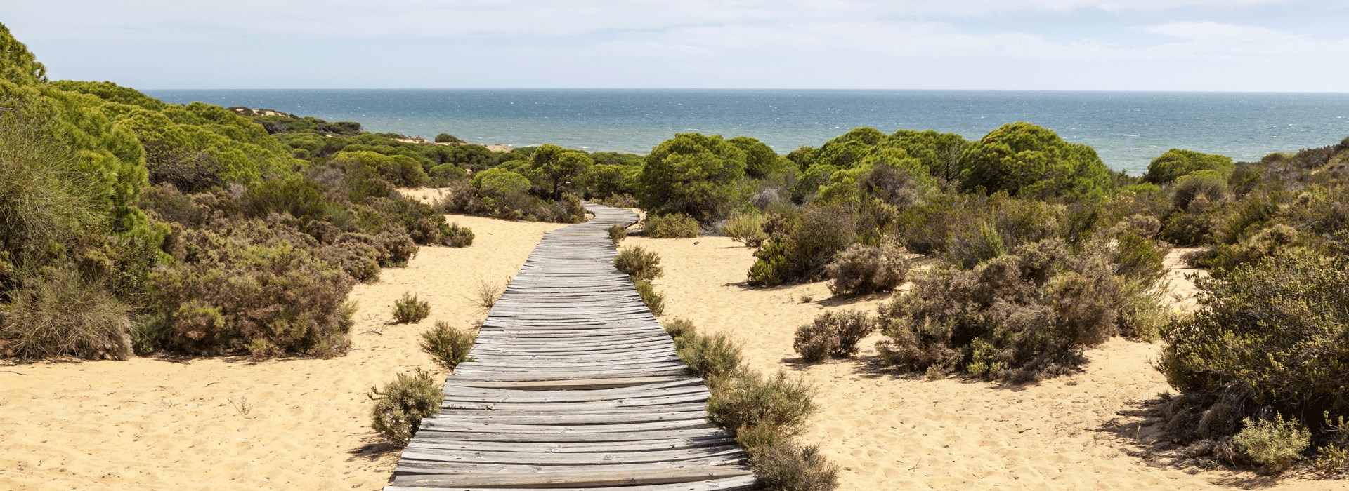 parc donana espagne voyage