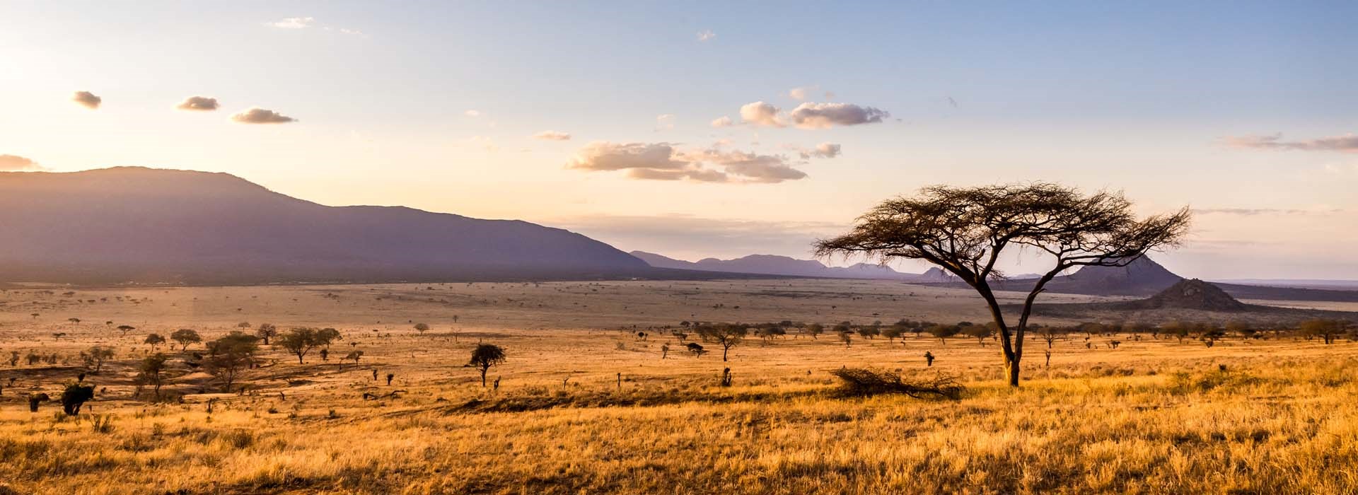 Circuit Kenya - Le Kenya dans tous ses états !