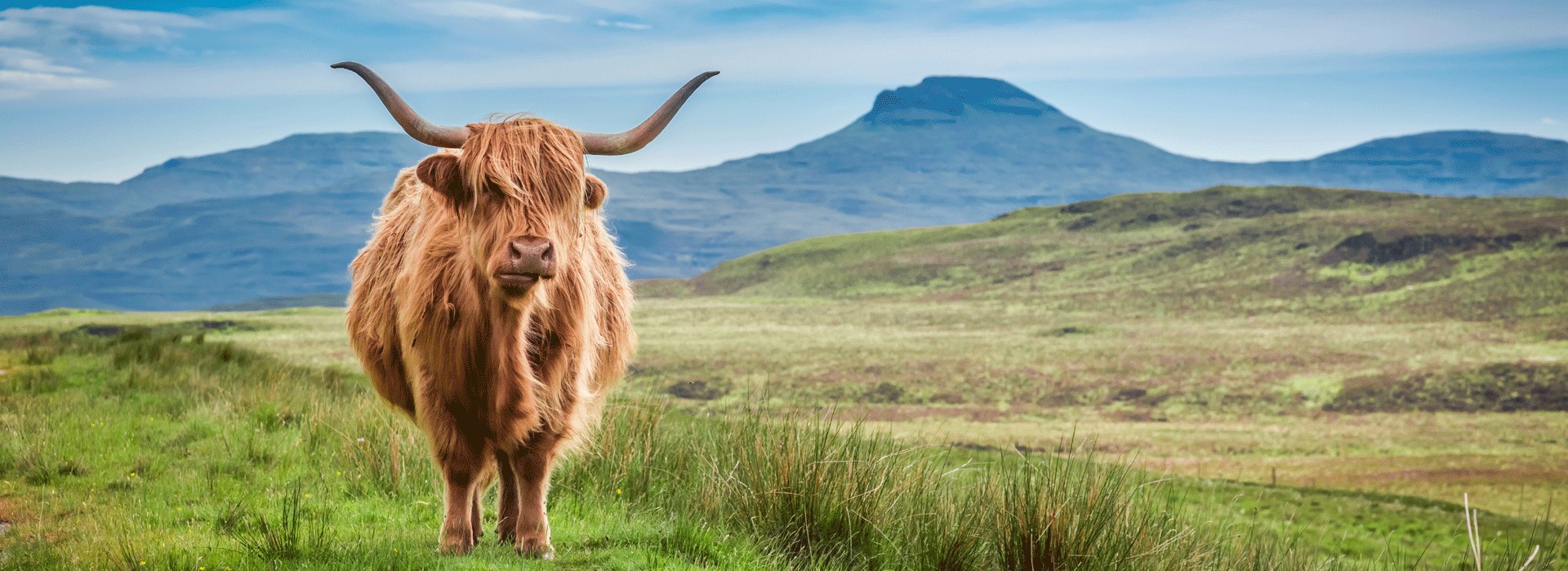 Highlands circuit Ecosse