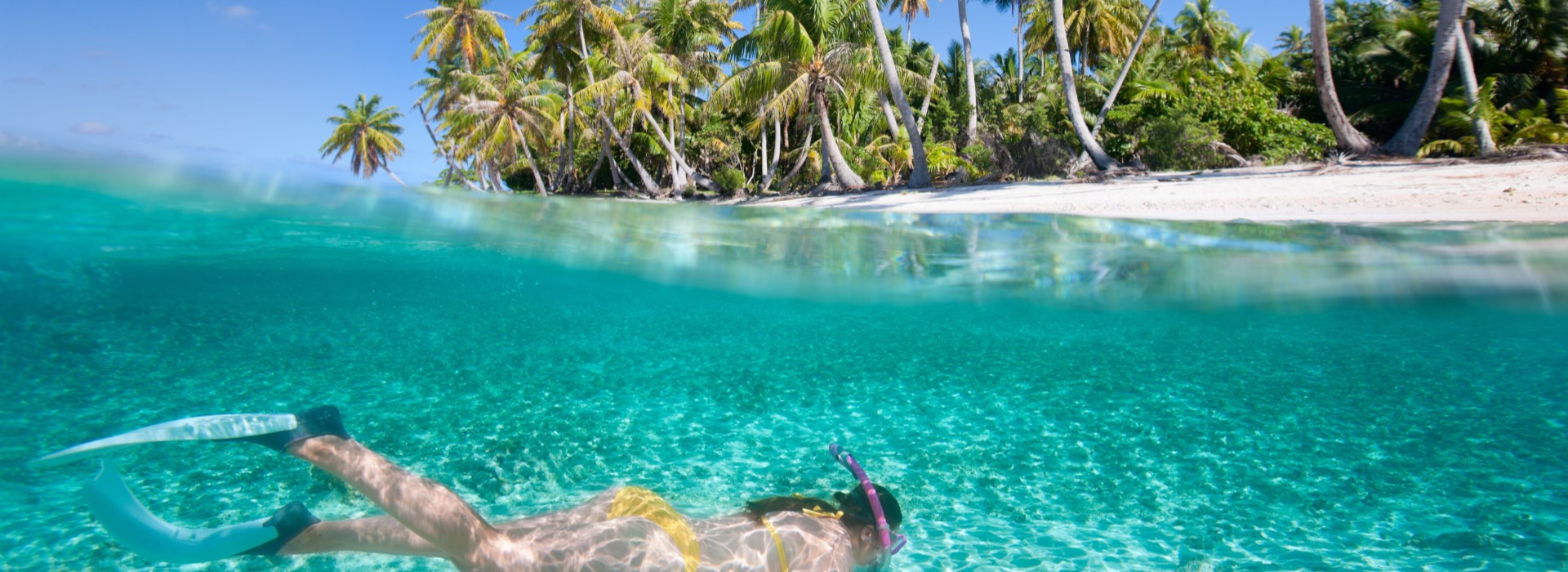 snorkeling Anse d'arlet et Dufour