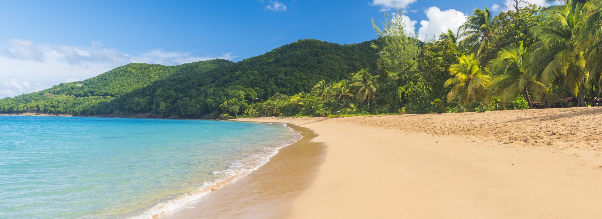 voyage entre celibataire Martinique