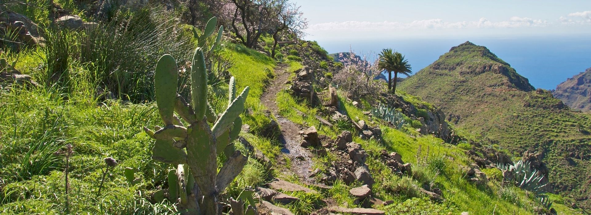 Circuit aux Canaries en petit groupe - Les Covoyageurs