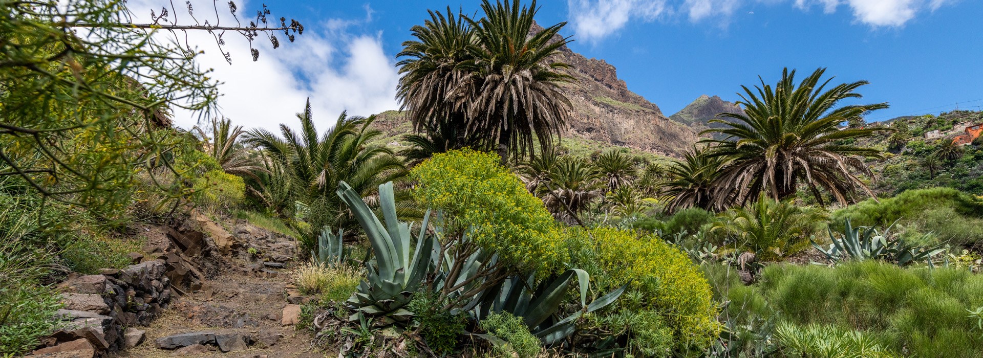 Circuit aux Canaries en petit groupe - Les Covoyageurs