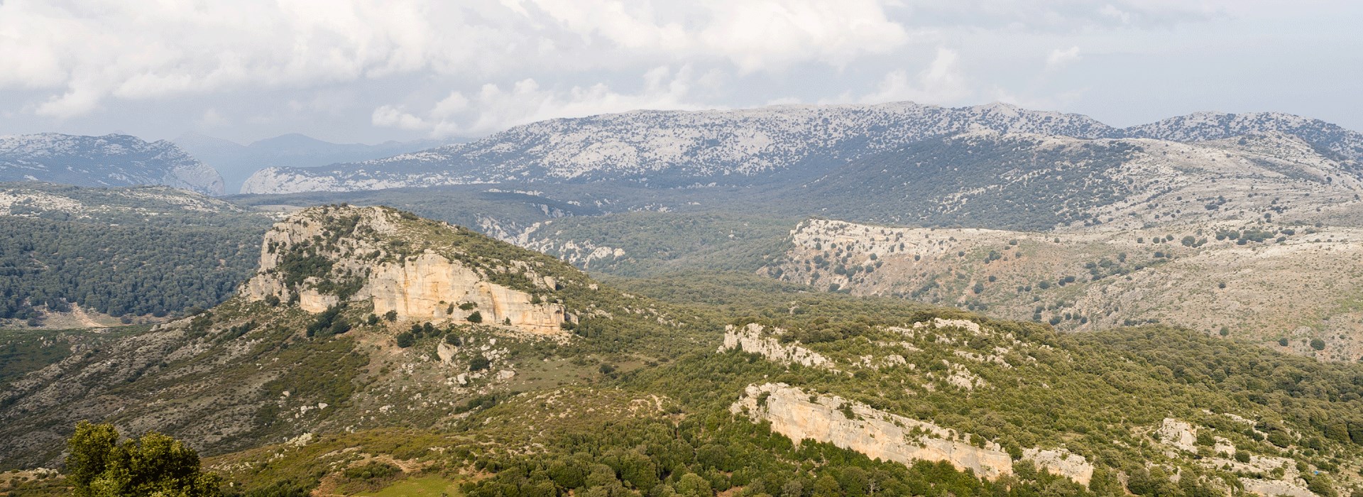 Orgosolo sardaigne mur