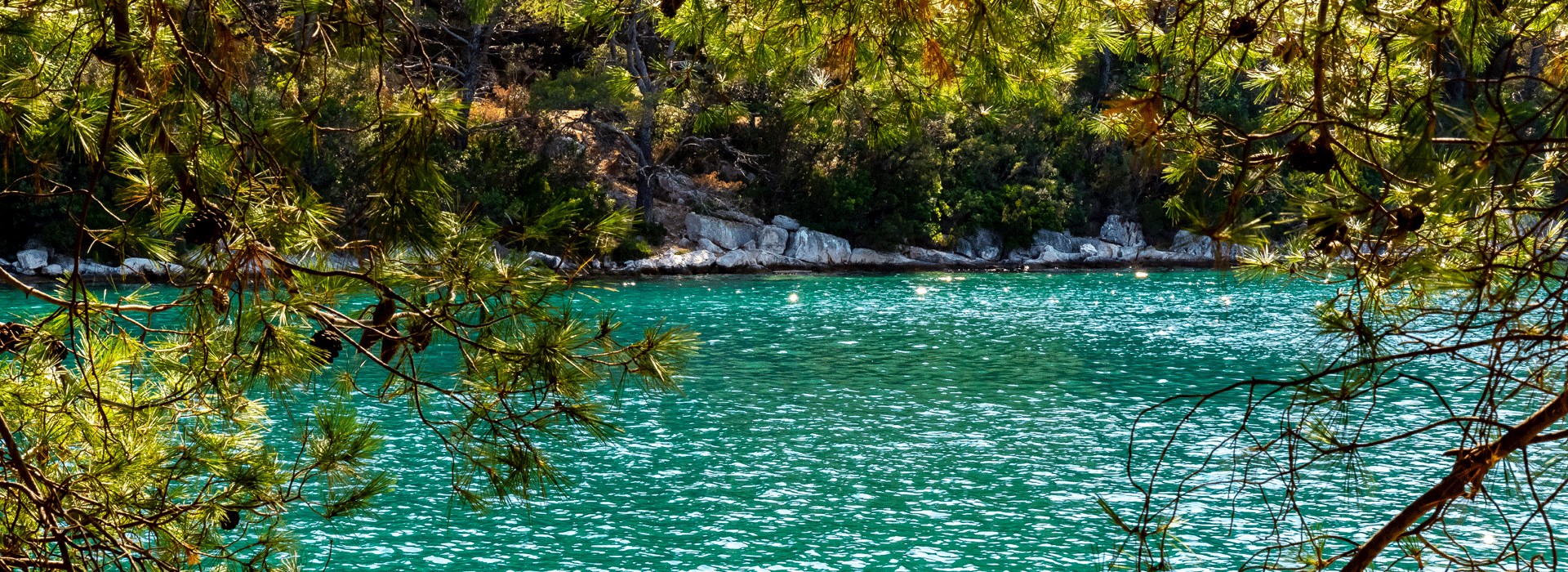 Ile de Mljet croatie voyage
