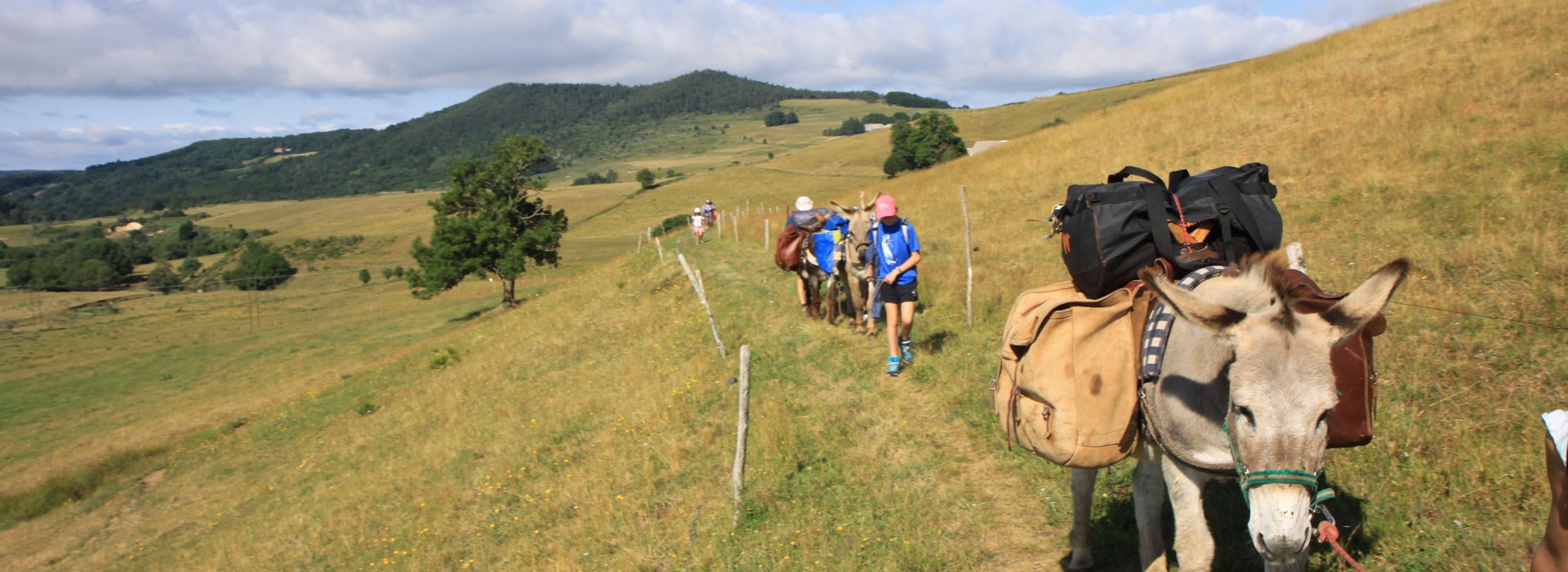 Circuit RhôneAlpes en Famille  Escapade en Ardèche avec mon âne