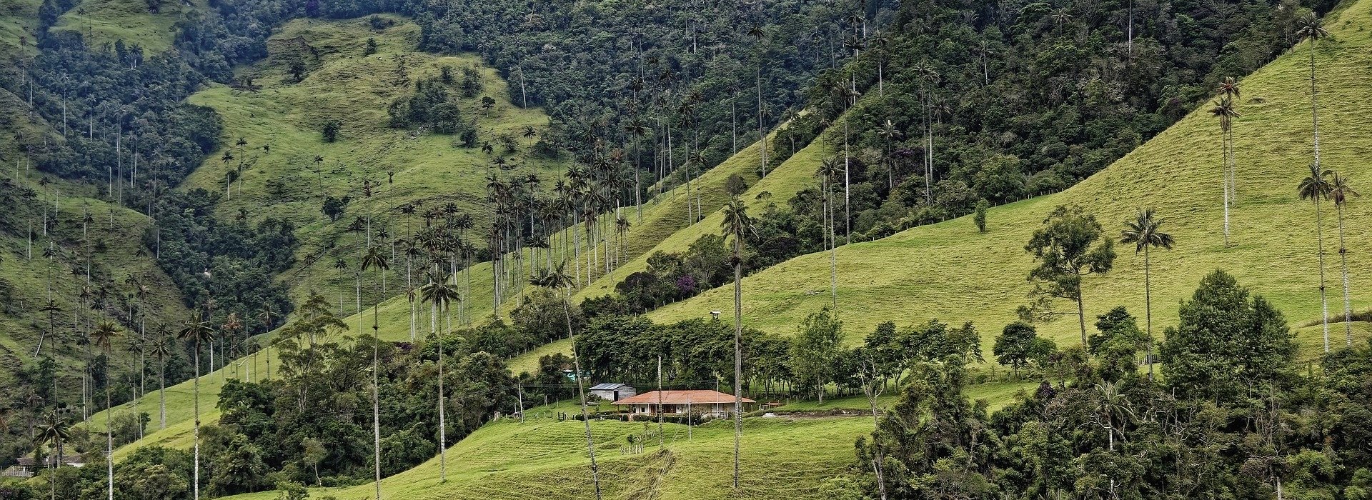 Circuit Colombie en Famille - Viva Colombia