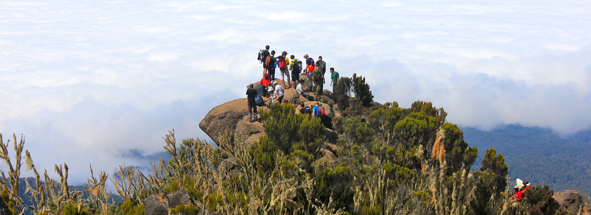 trek kilimandjaro voyage tanzanie célibataire