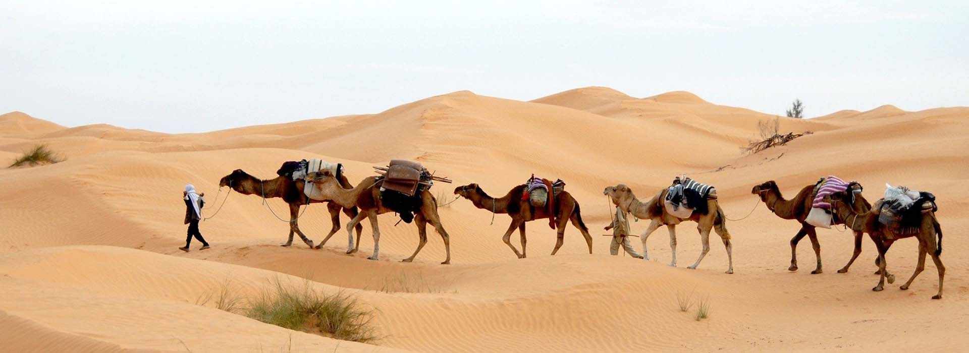 Desert Tunisie