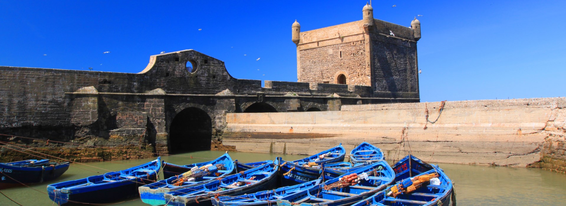 ESSAOUIRA COVOYAGEURS