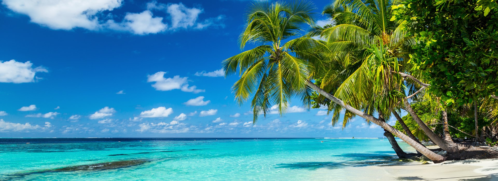 solo circuit Guadeloupe