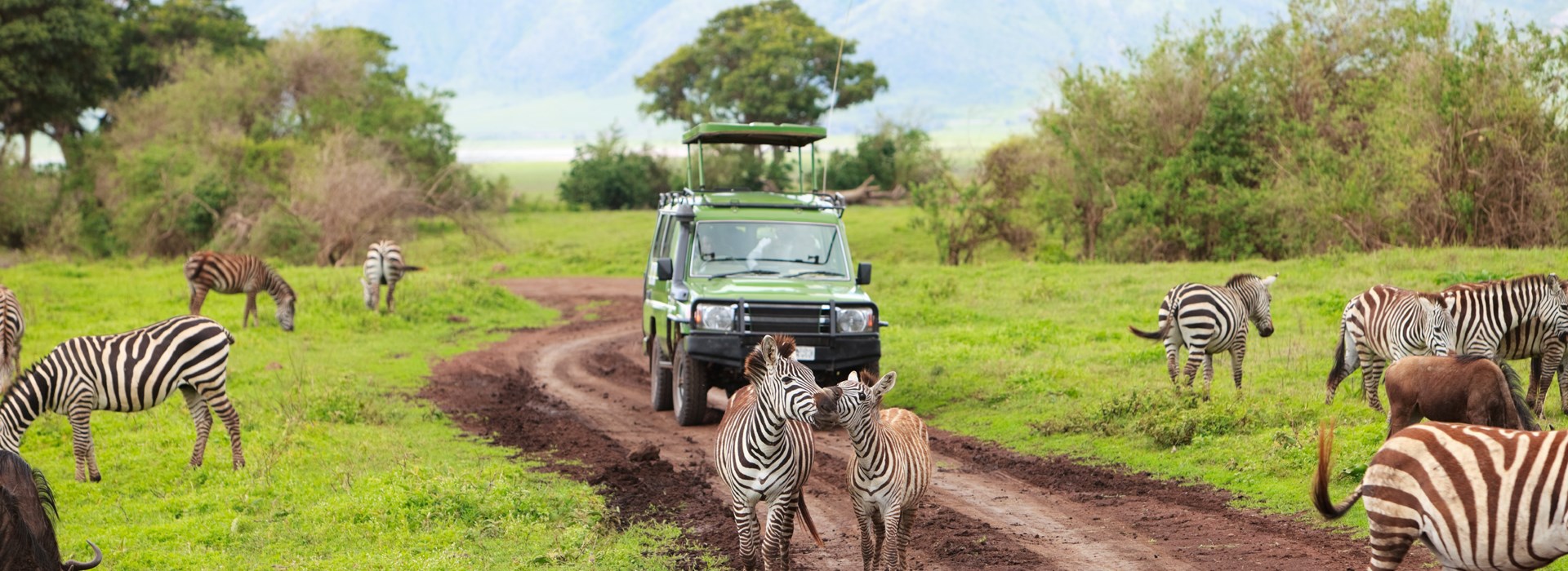 safari tanzanie famille
