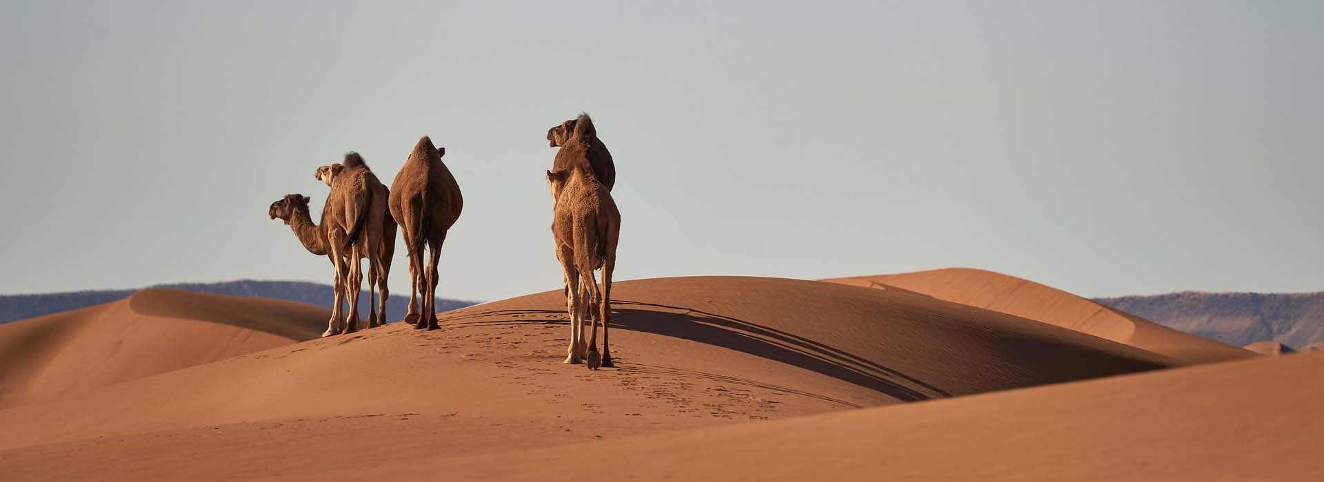 famille mauritanie enfant