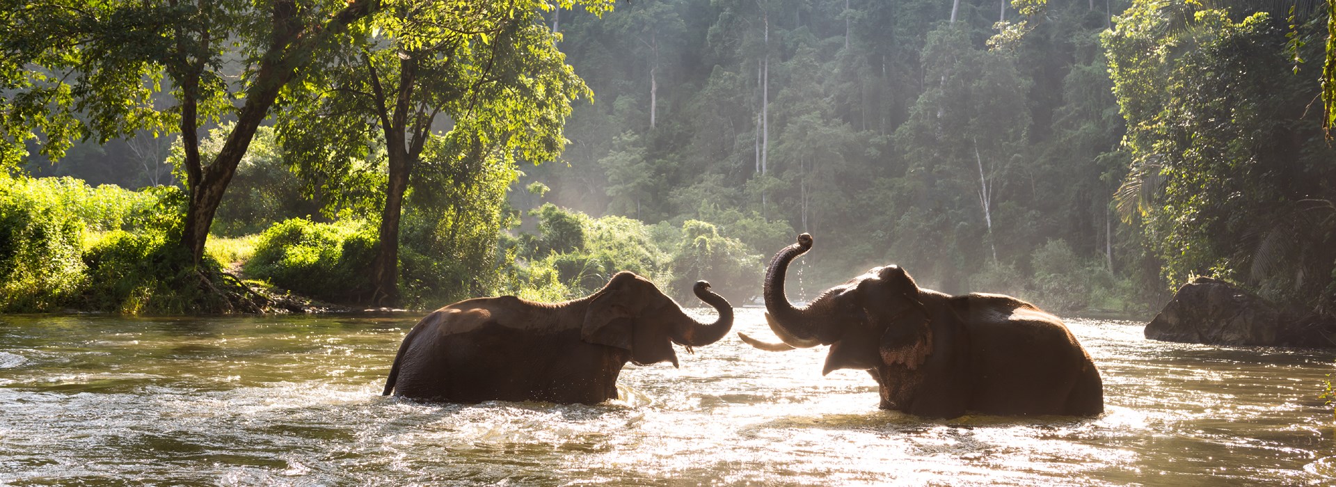 vacances enfant thailande