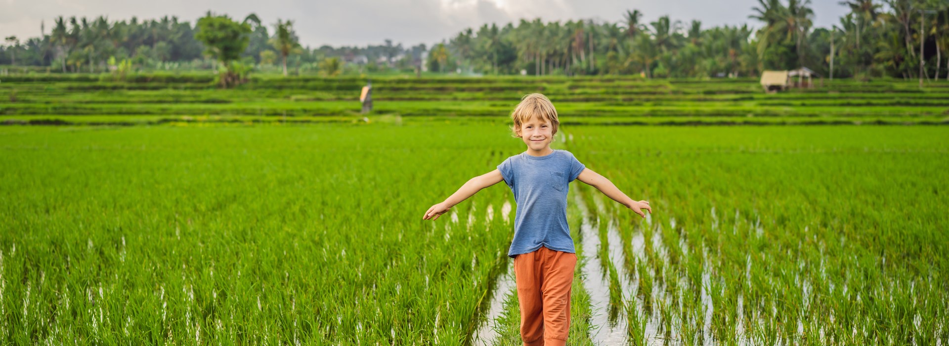 circuit thailande famille rizière