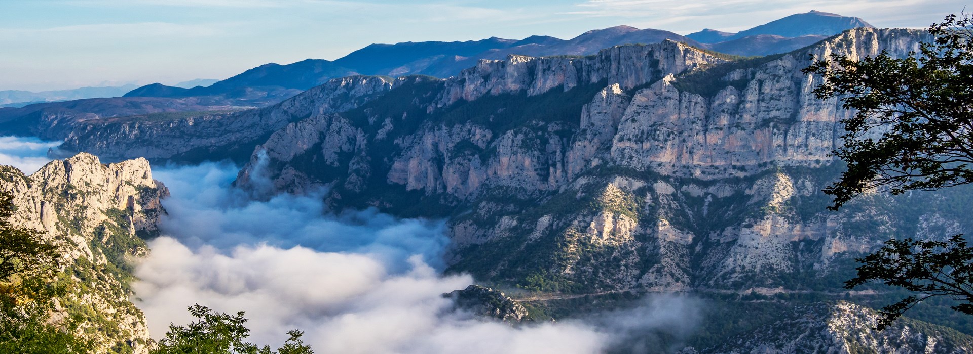 Verdon entre solo