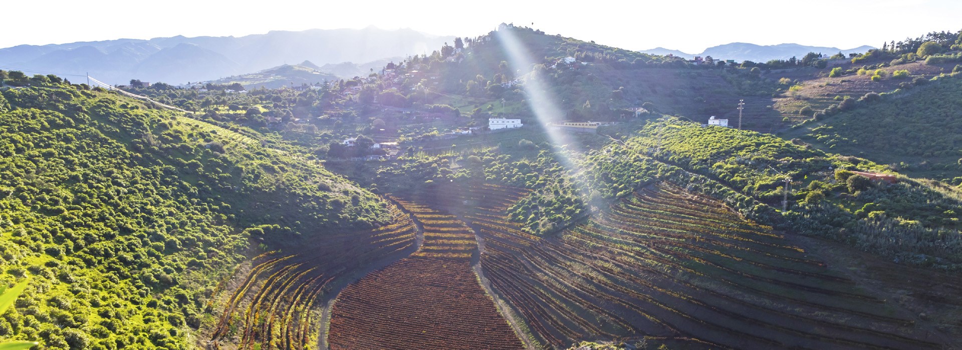 Circuit aux Canaries en petit groupe - Les Covoyageurs