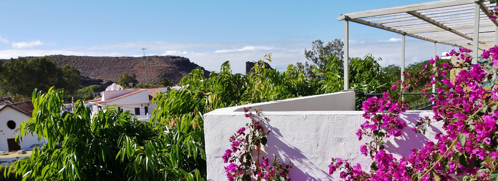 Circuit aux Canaries en petit groupe - Les Covoyageurs