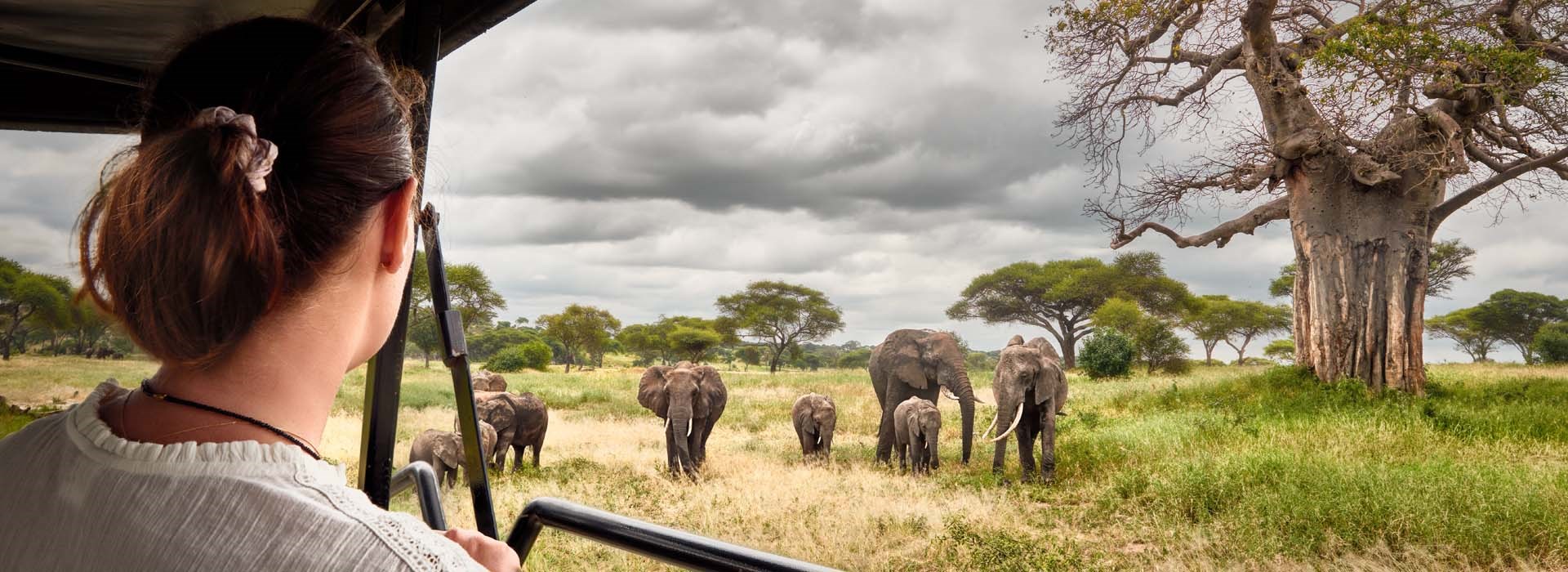 Safari Kenya Covoyageurs