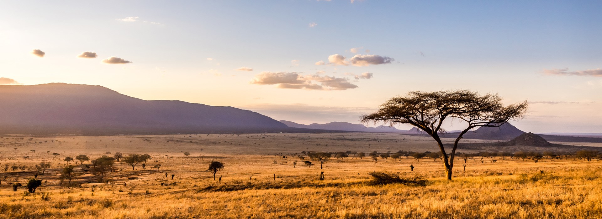 Voyage combiné Kenya - Tanzanie