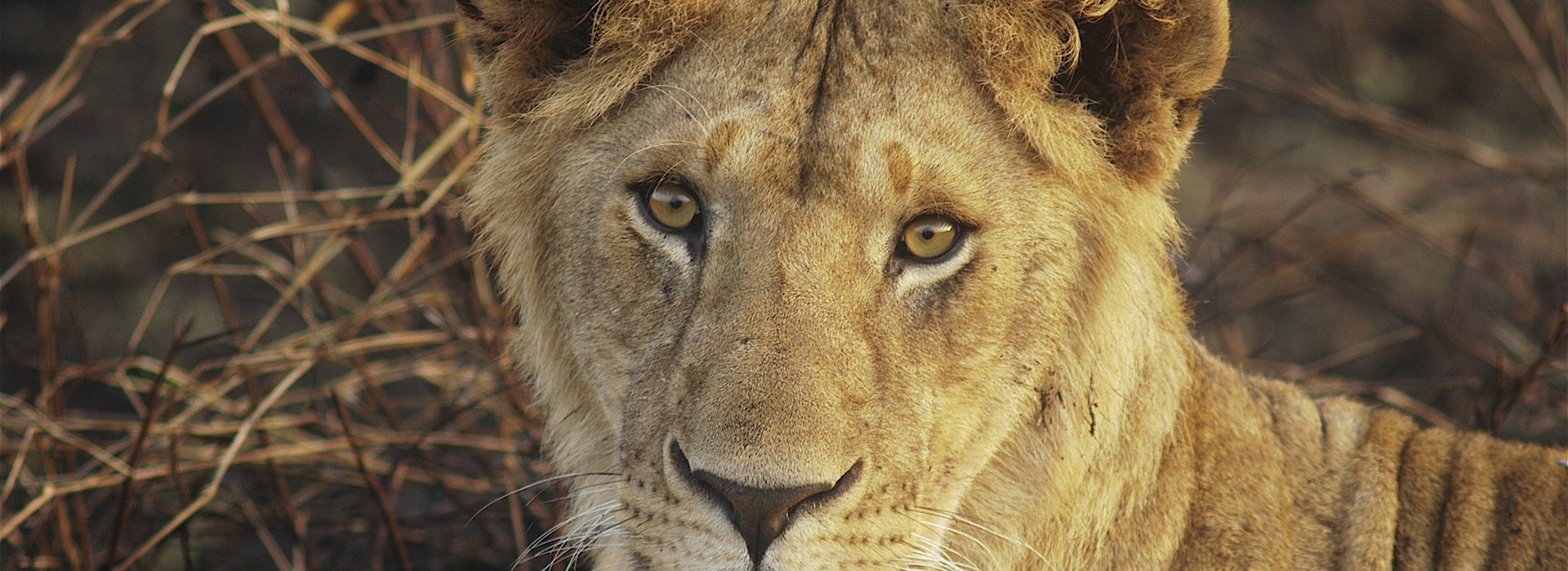 voyage en Afrique de l'est 