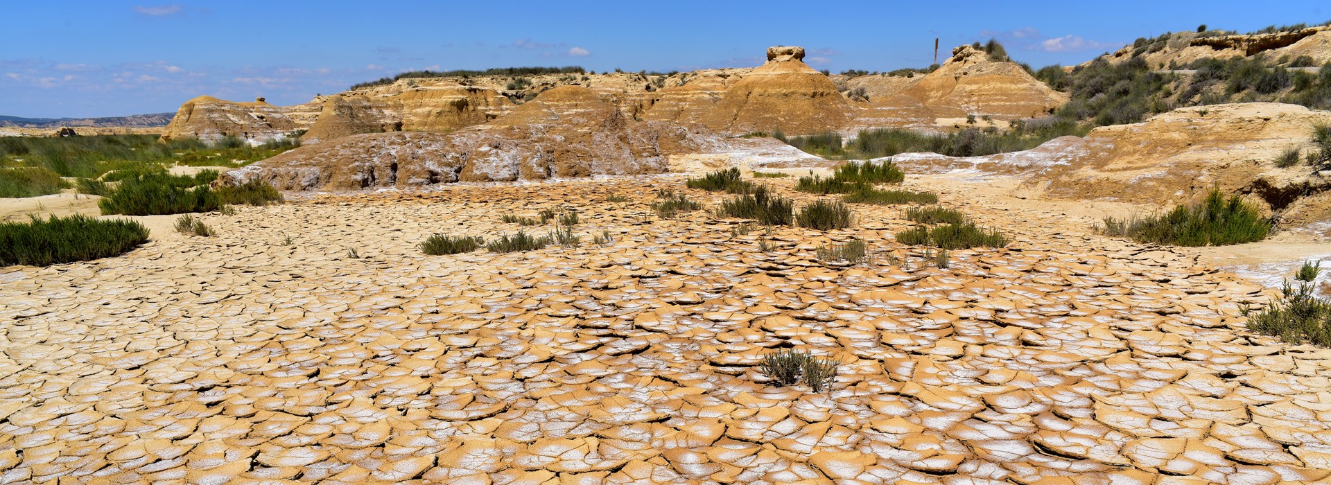 les bardenas entre célibataires