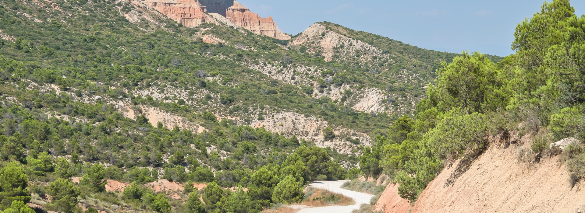 les bardenas entre solos