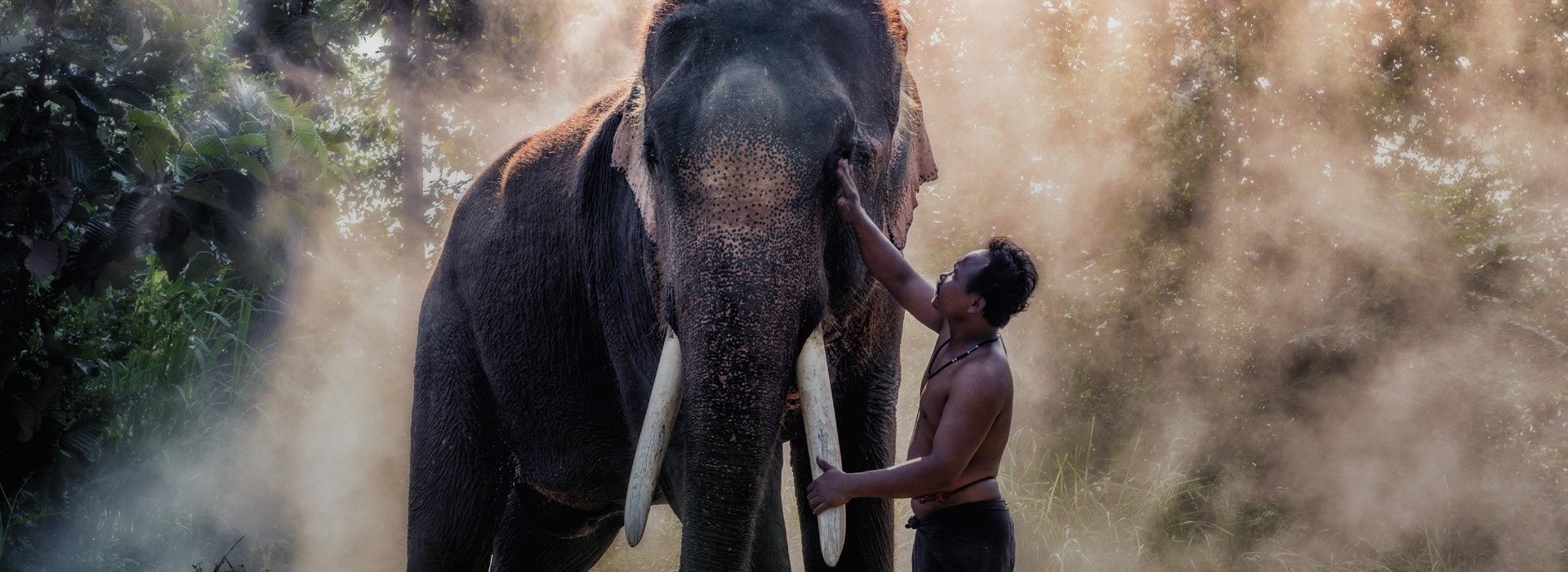 voyage multi-activités famille cambodge