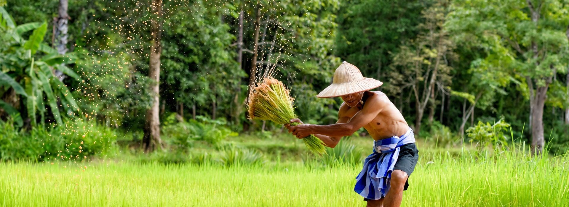 Rencontrer des locaux dans la campagne laotienne 