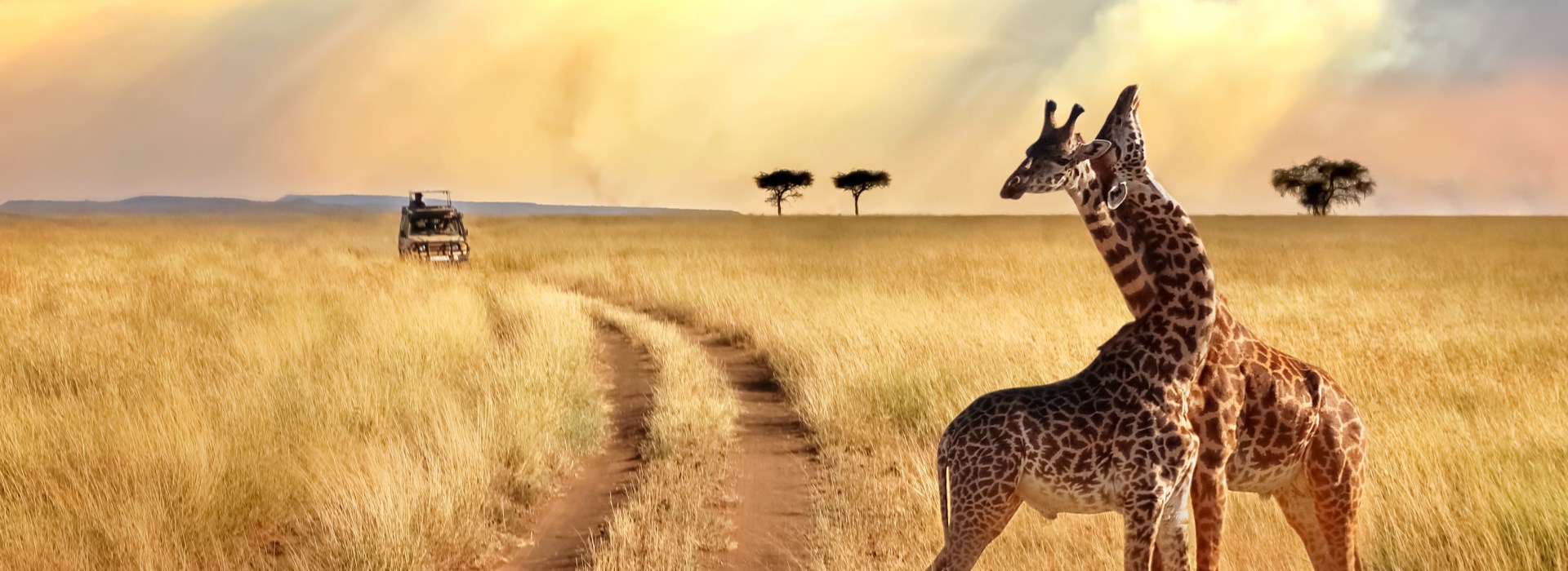 Circuit Tanzanie - Zanzibar - Safari, Paradis & Bikini