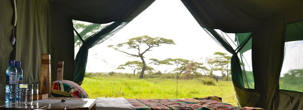 vacances parent celibataire tanzanie safari zanzib