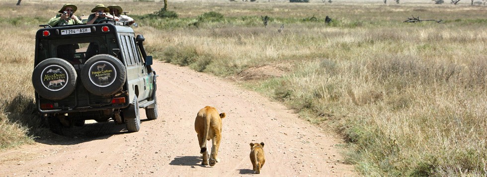 vacance parent solo circuit tanzanie