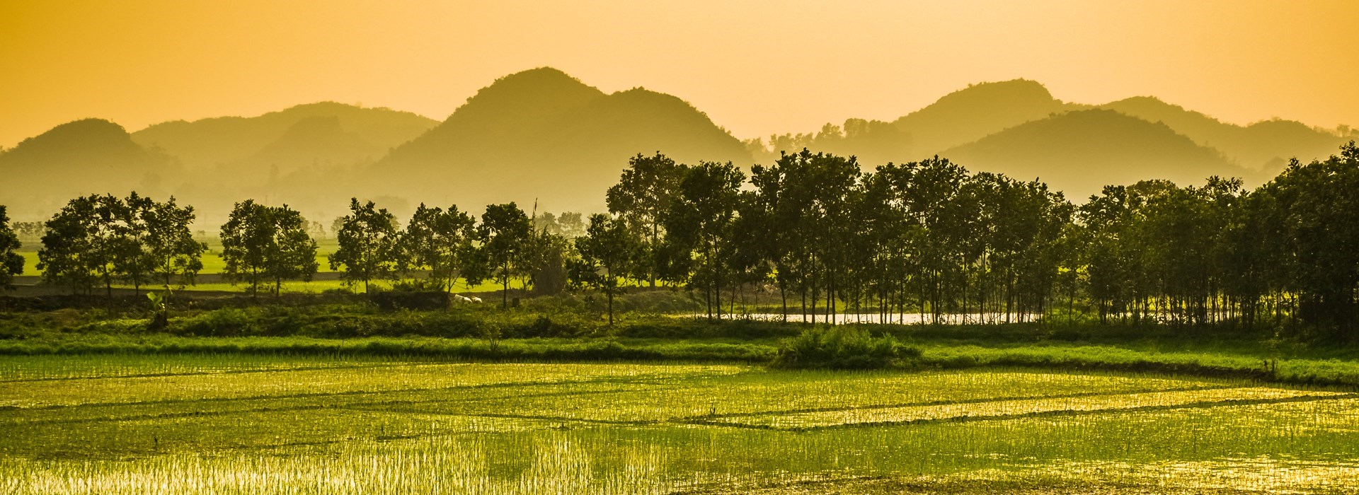 partir vietnam parent enfant