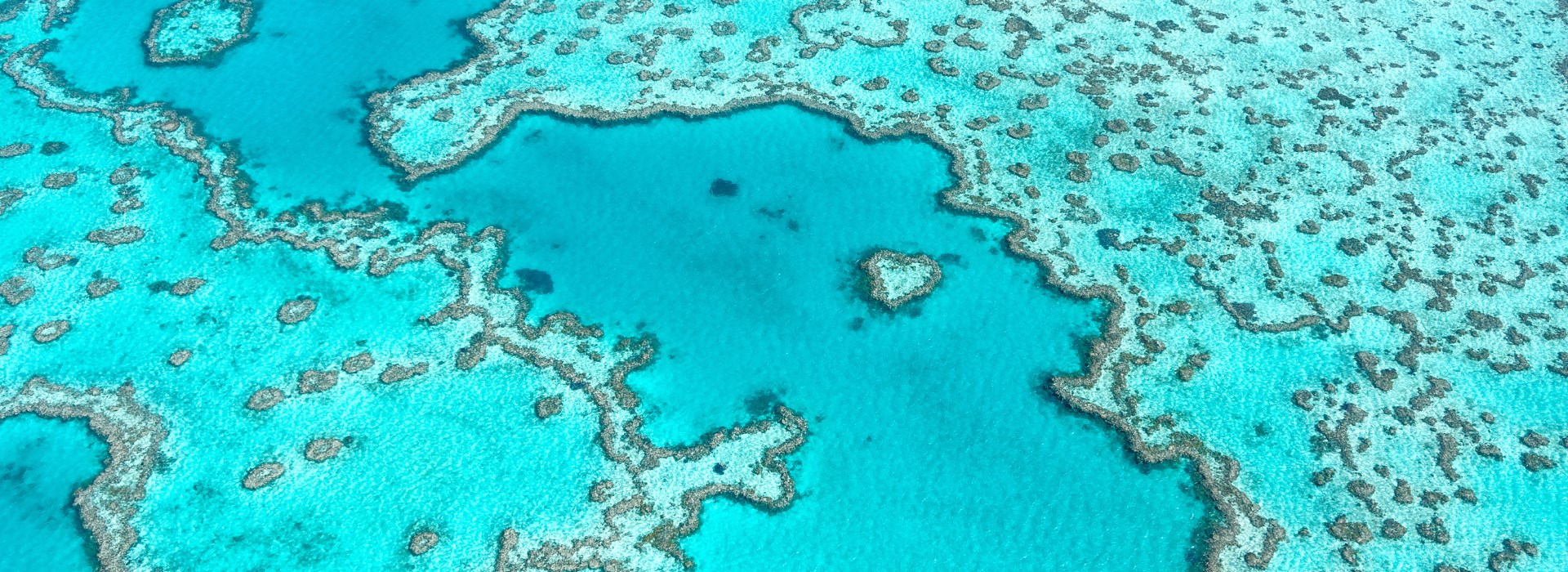 plongée grande barrière de corail