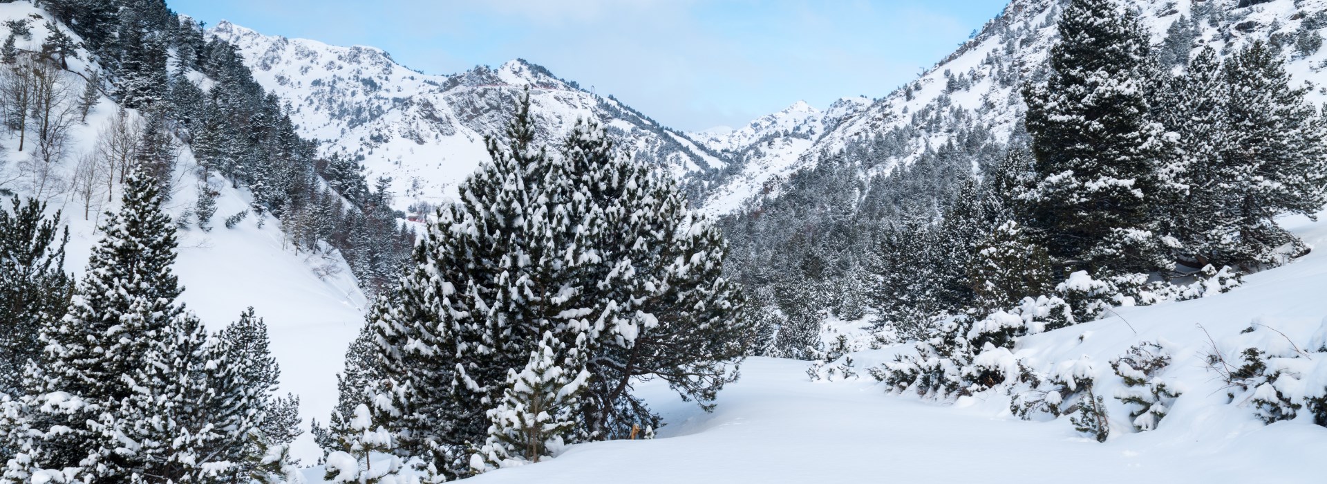 Nouvel an à la neige